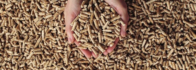 fuel pellet