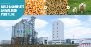 feed pellet line (2)