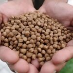floating feed pellets