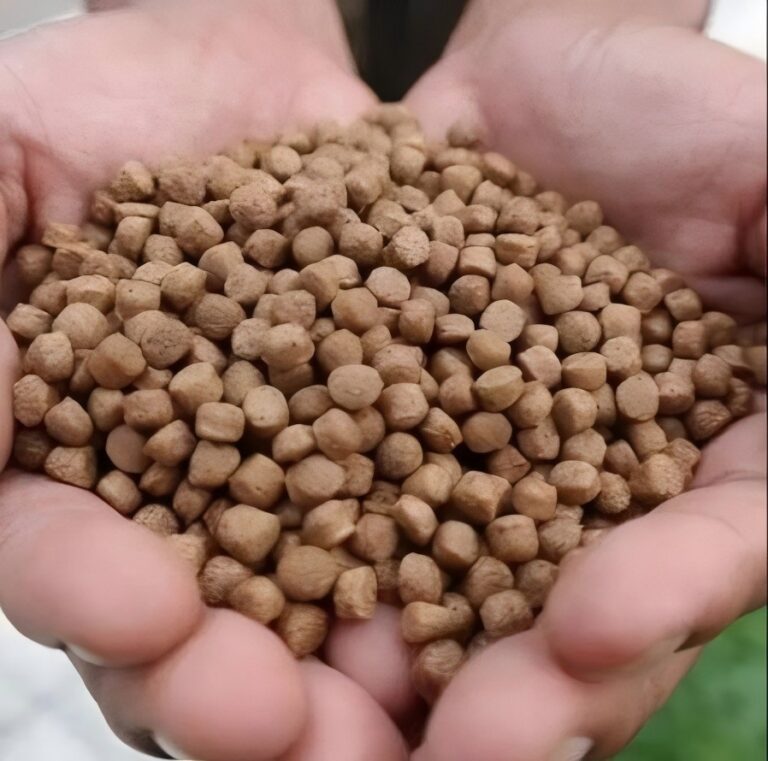 floating feed pellets