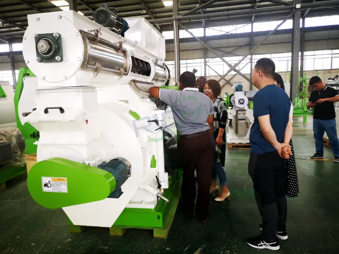 Customer visiting organic fertilizer production line with cow dung pellet making machine